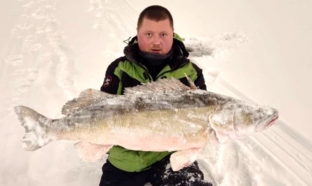 Рекордного метрового судака поймал житель Петербурга прямо в Неве