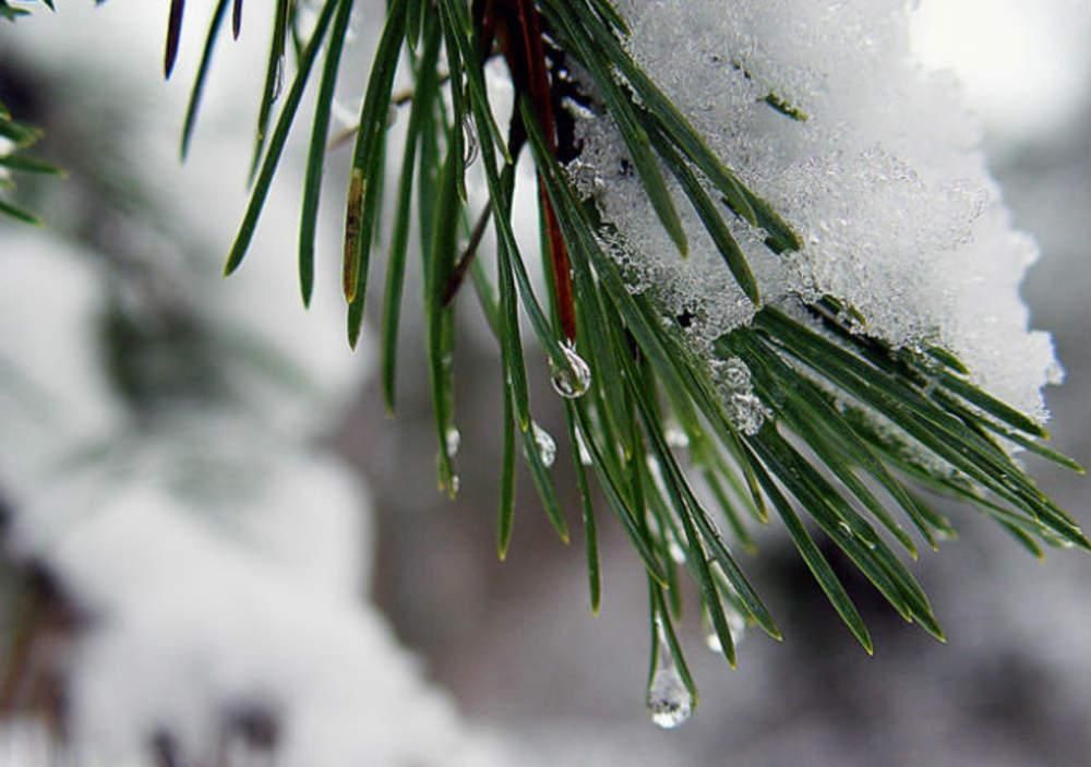 Последний зимний месяц будет удерживать теплые позиции