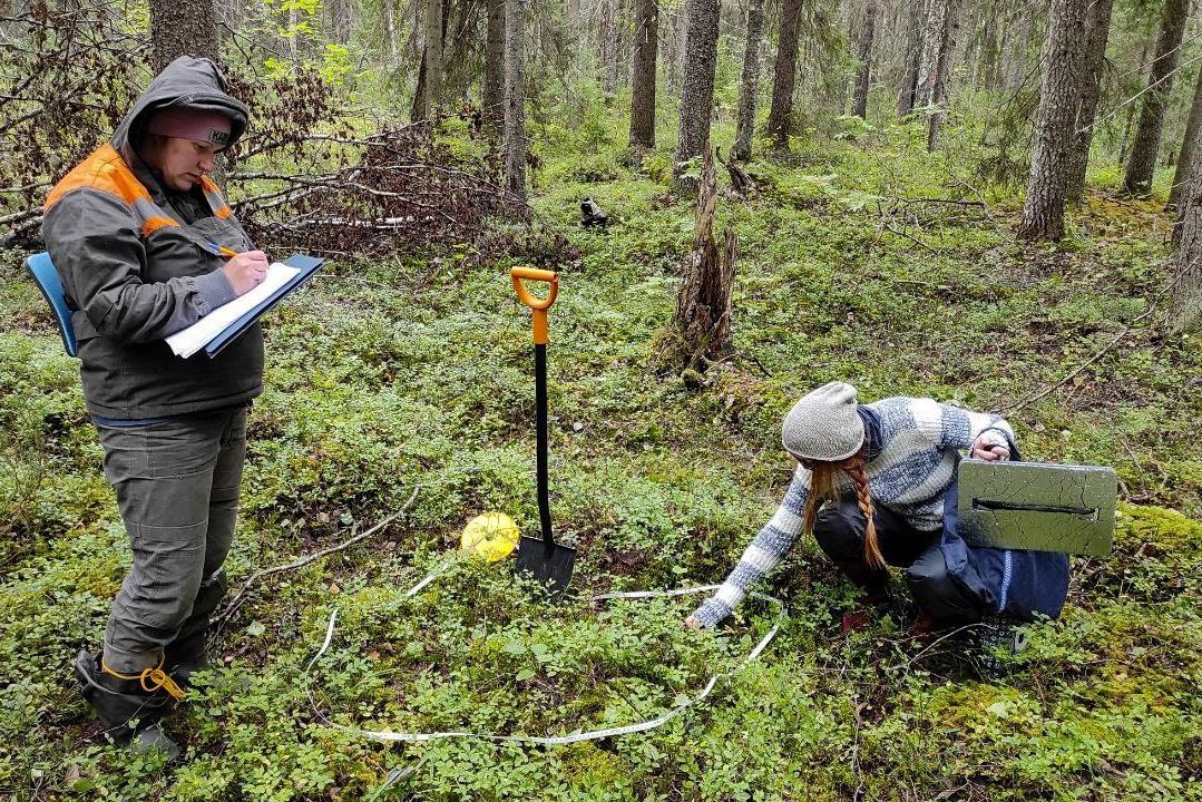 Система мониторинга парниковых газов создается в России