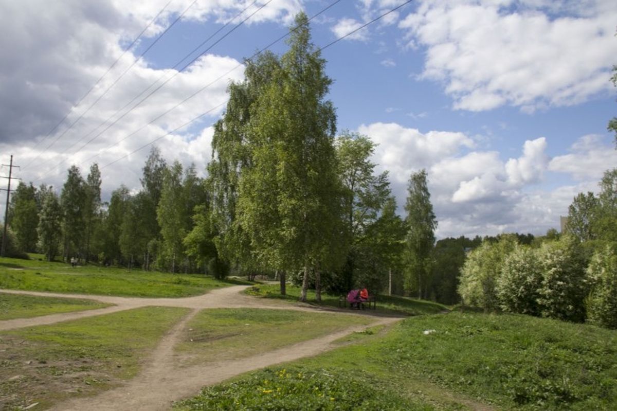 Площадка для выгула и дрессировки собак появится в Лососинском парке