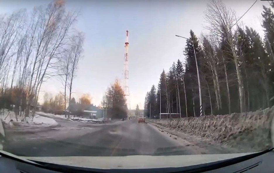 В Петрозаводске лиса попала под колёса автомобиля