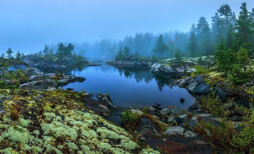 Минприроды исключило из «Ладожских шхер» около 3000 гектаров заповедной зоны