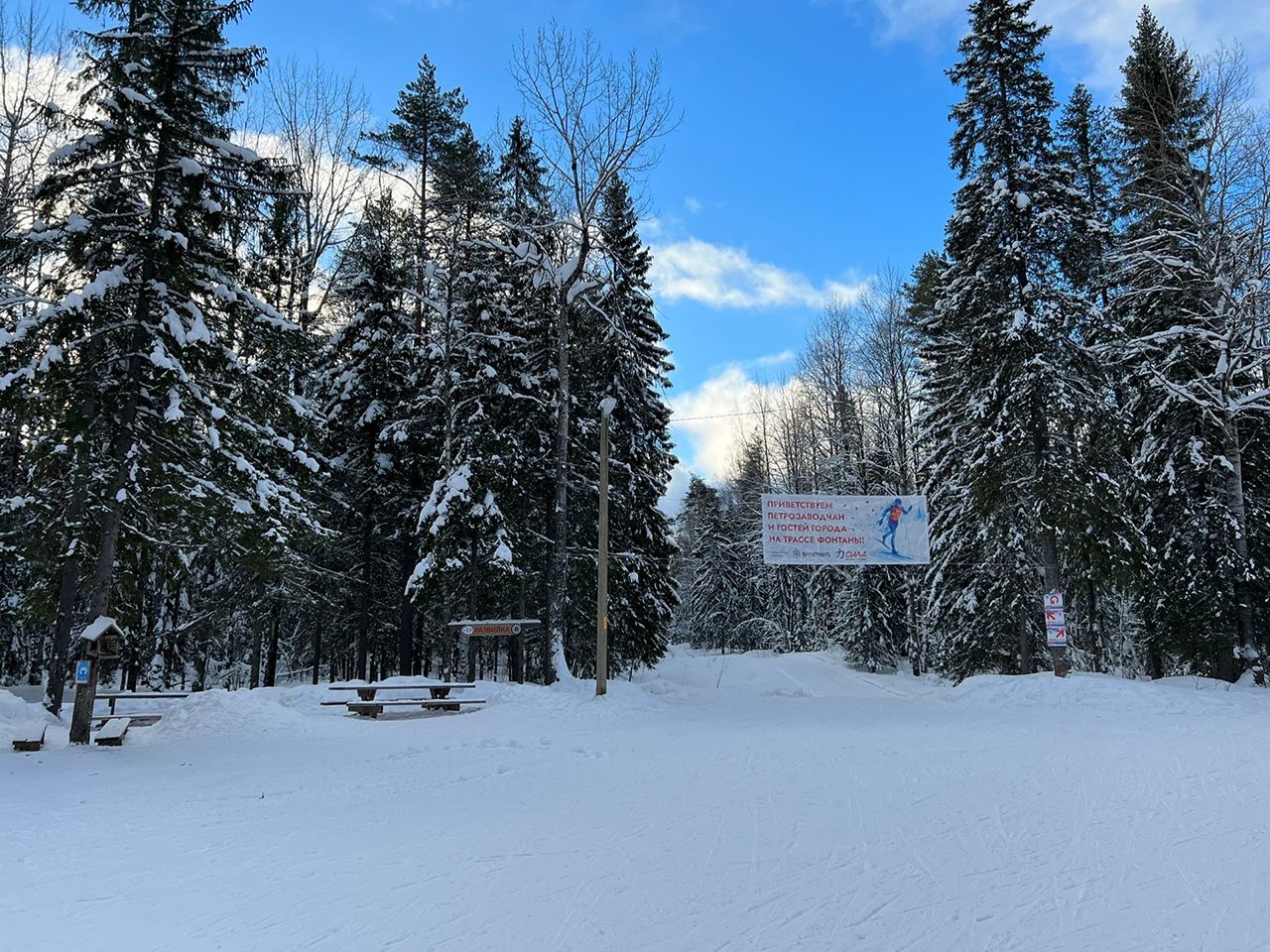 В Петрозаводске планируется создать новую точку притяжения для массового семейного отдыха