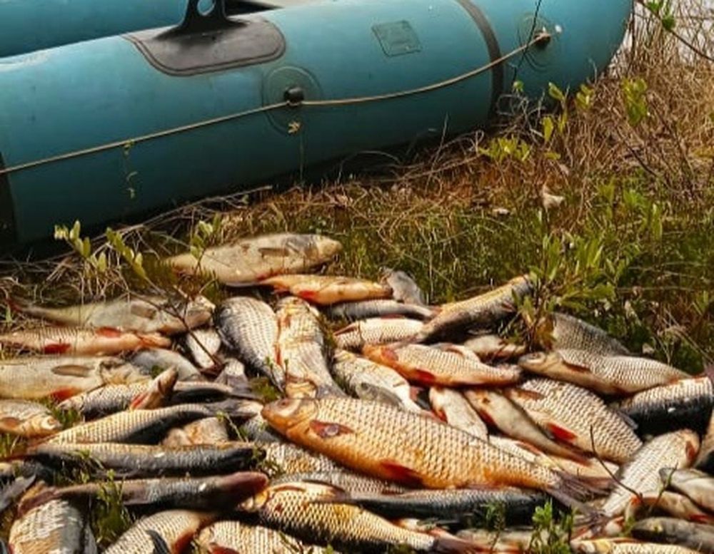 Житель Карелии заплатит штраф за незаконный улов