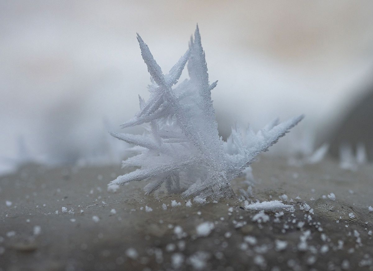 Женский день будет холодным и снежным в Карелии. Прогноз погоды на 8 марта