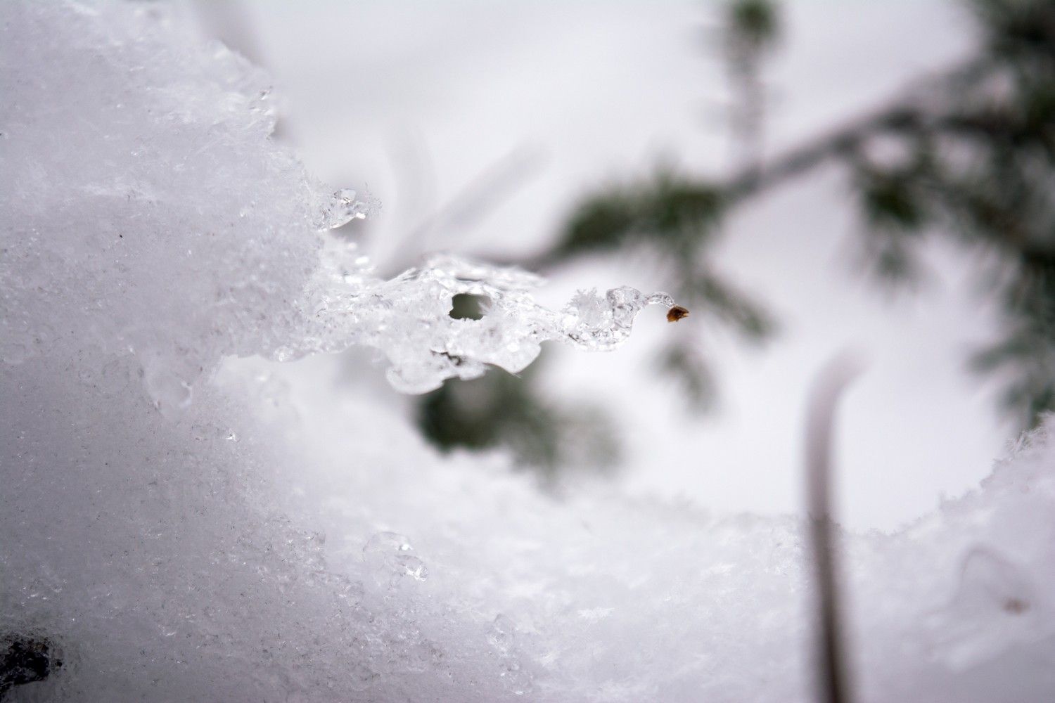 До -15° ночью и до +3°С днем обещают в Карелии. Прогноз погоды на 31 марта