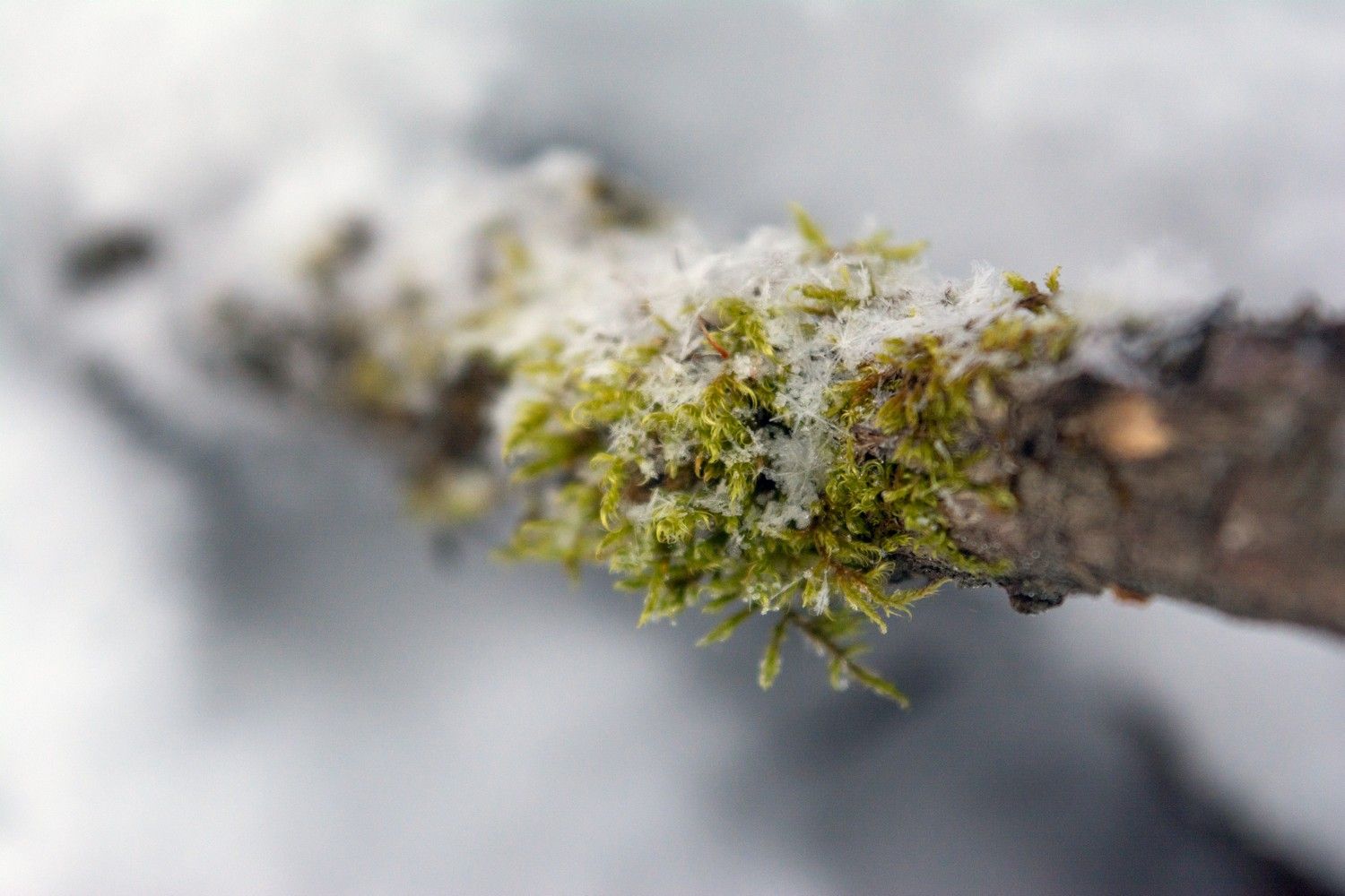 Ночью в Карелии до -18°С, днем до +2°С. Прогноз погоды на 17 марта