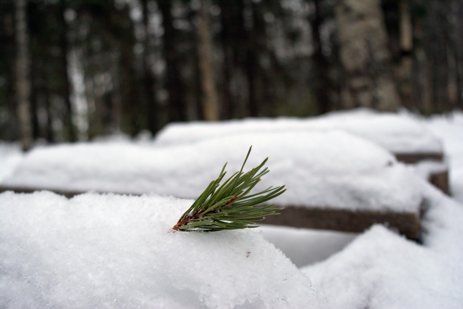 Март побил рекорд семидесятилетней давности по осадкам