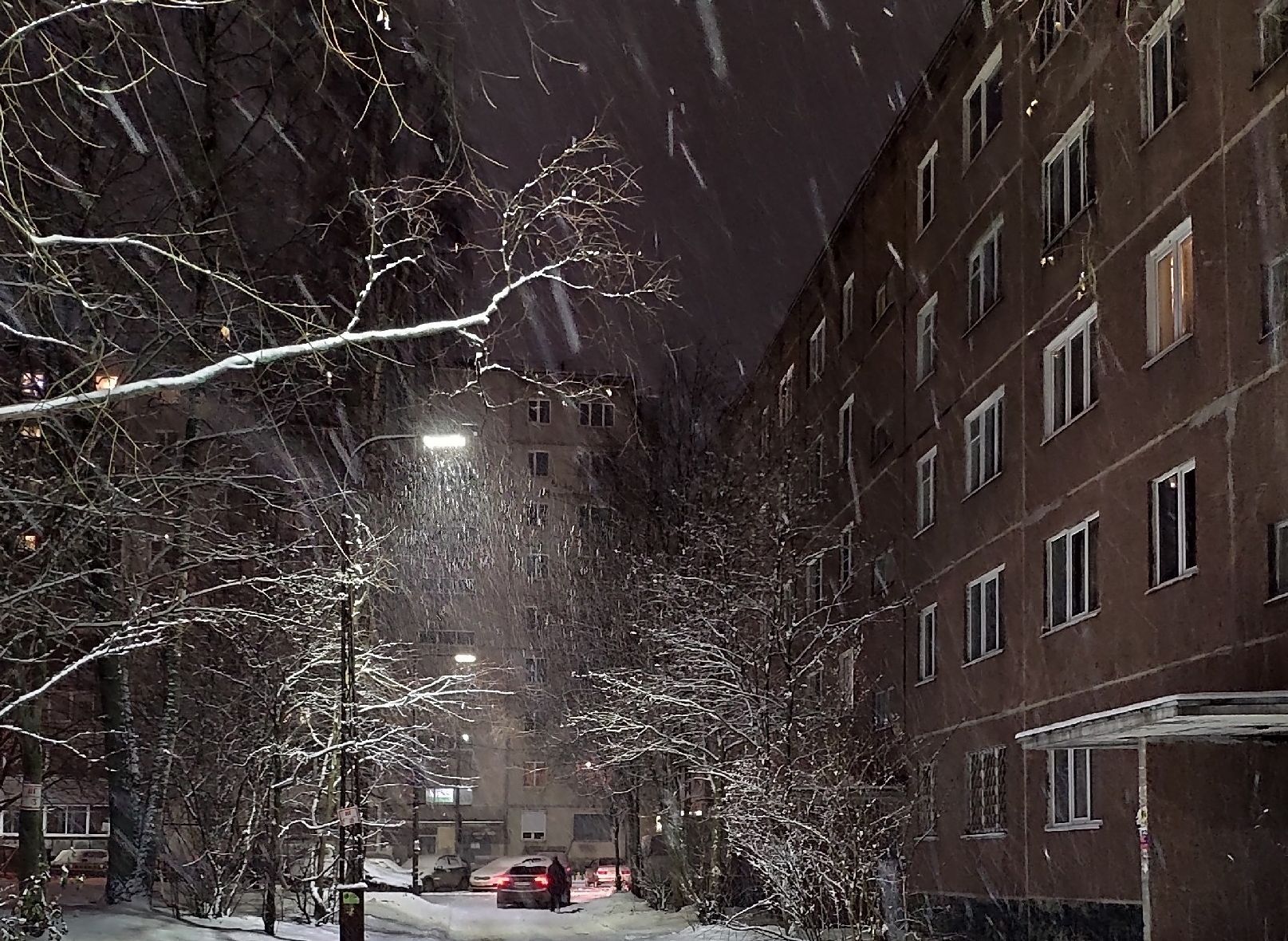 Мокрый снег. Прогноз погоды в Карелии на 21 марта