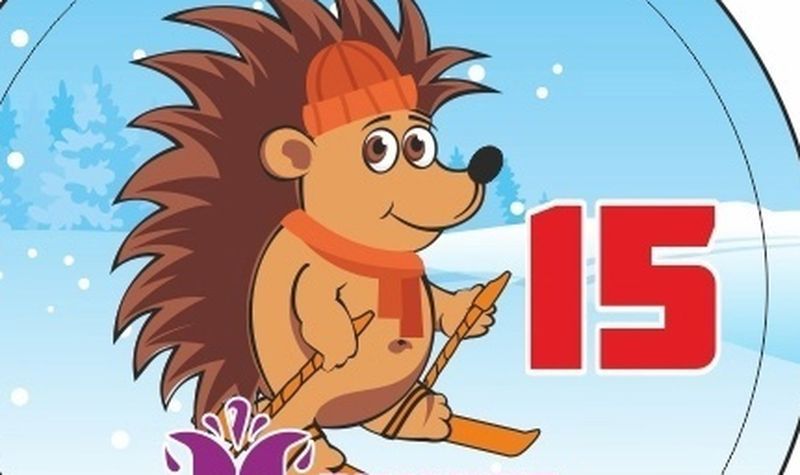 Енот, мышонок или кабанчик? «Зимние фонтаны» выбирают новый талисман