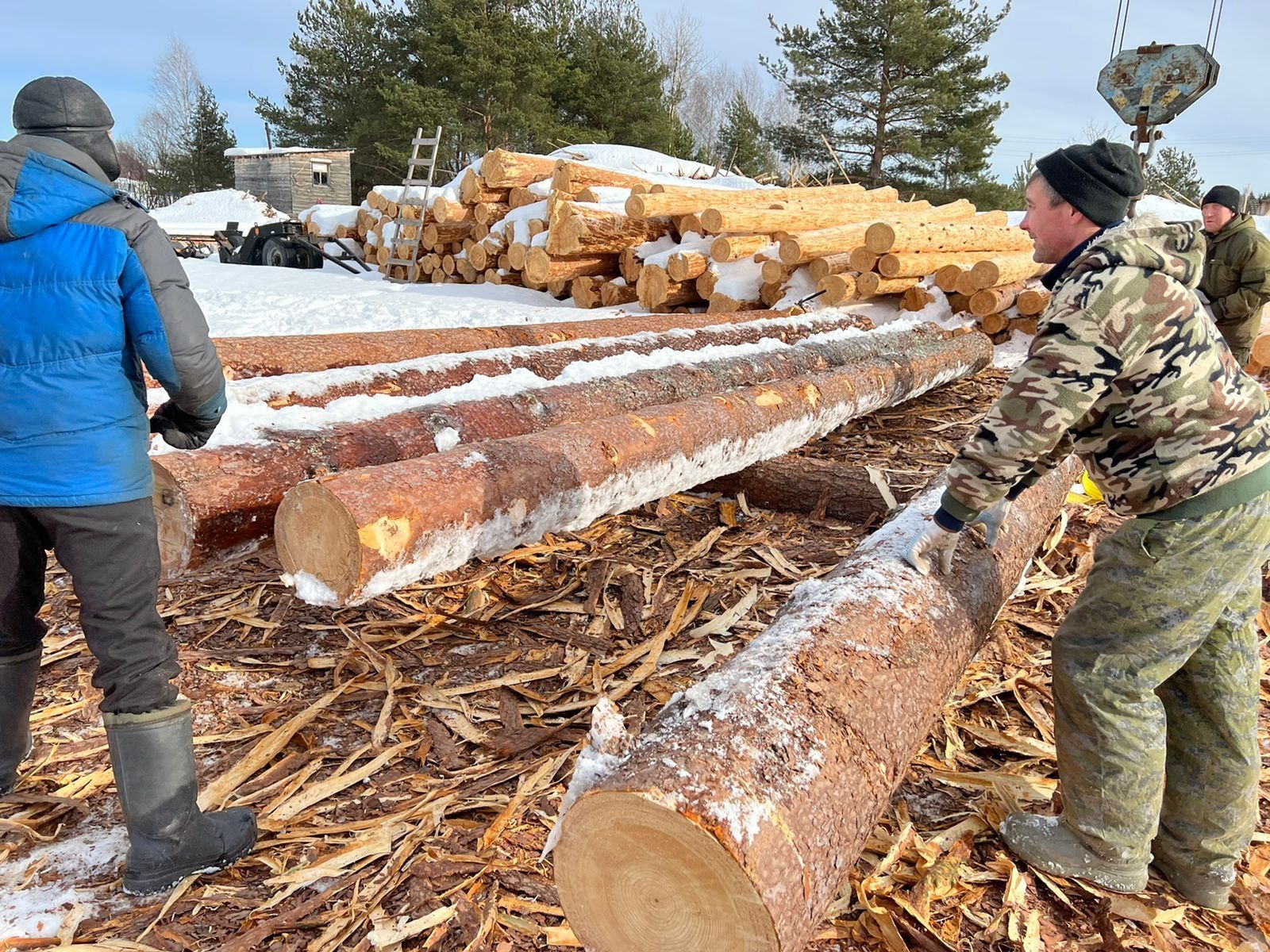Успенскую церковь построят из кировской сосны
