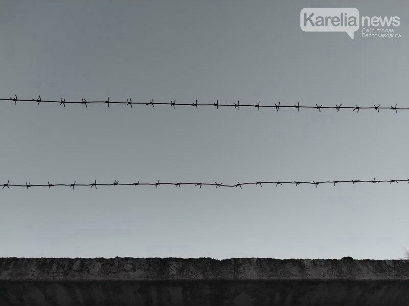 В Карелии резко выросло количество особо тяжких преступлений