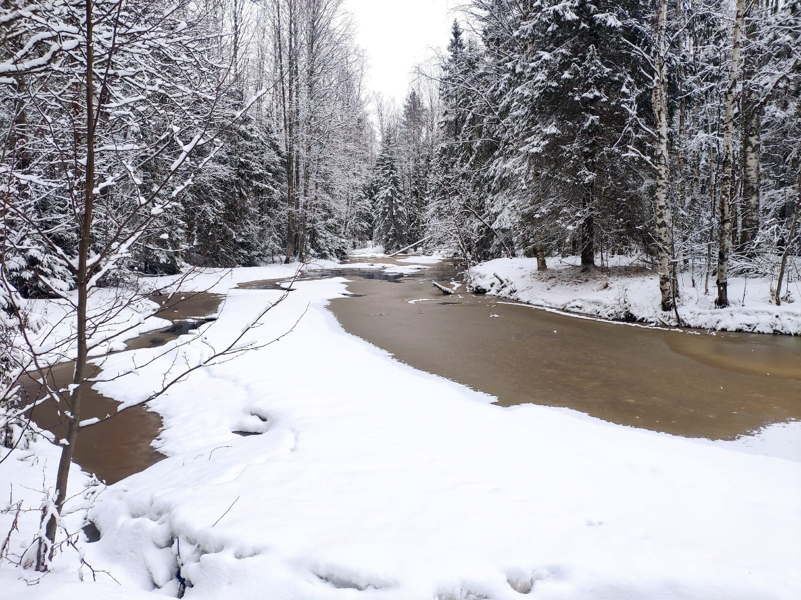 Зима недаром злится. Прогноз погоды в Карелии на 29 марта