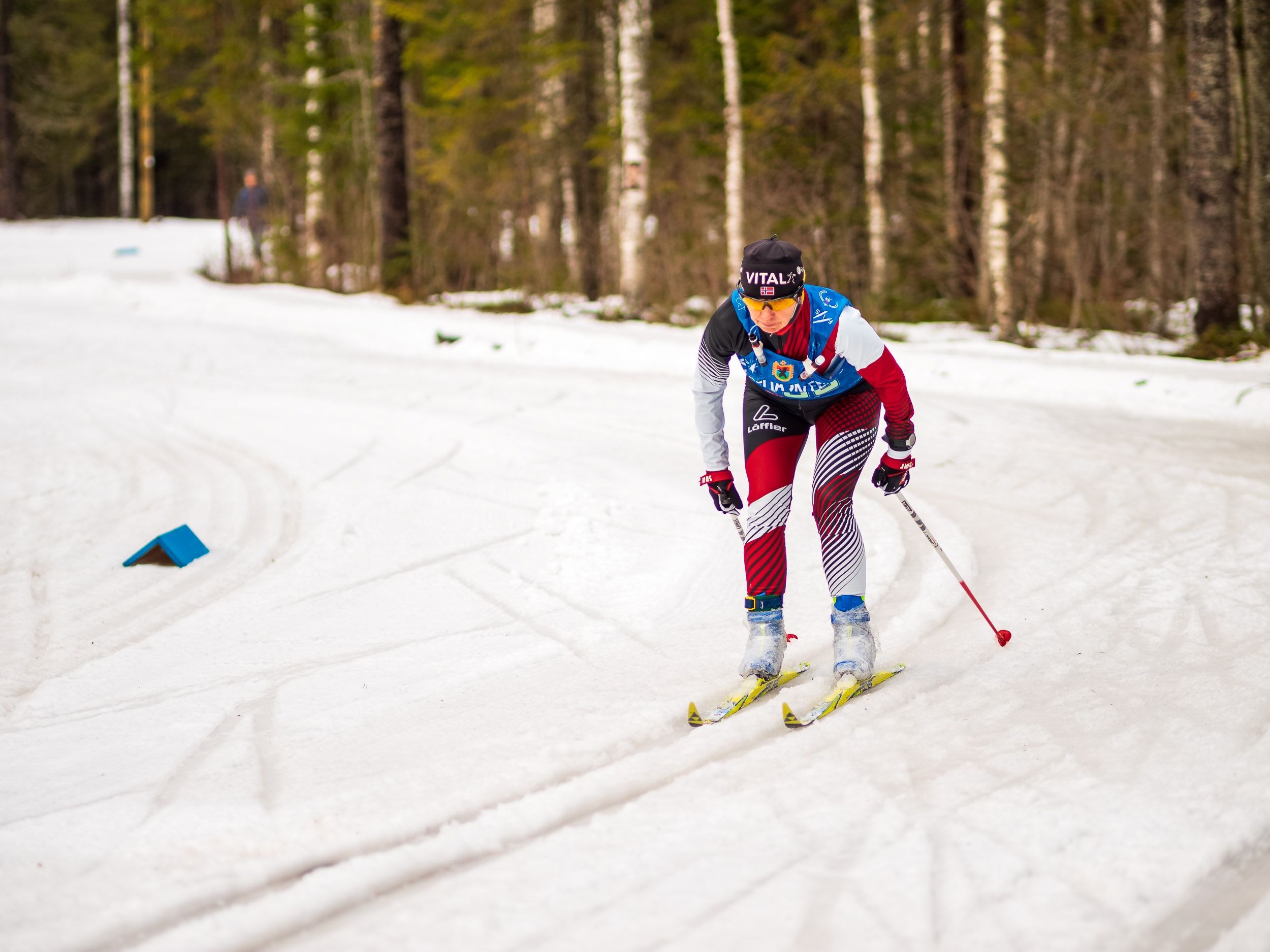 Участникам KareliaSkiFest придется снимать лыжи на одном из участков трассы