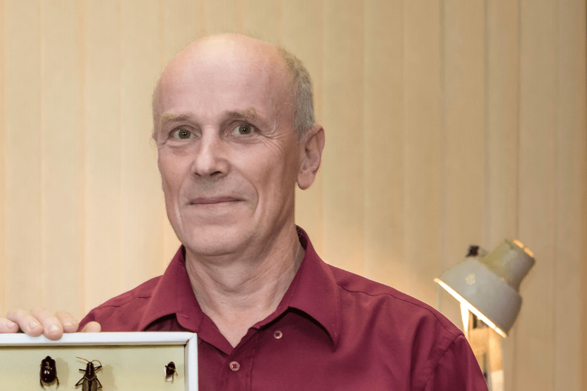 Карельский учёный открыл два новых вида грибных комаров