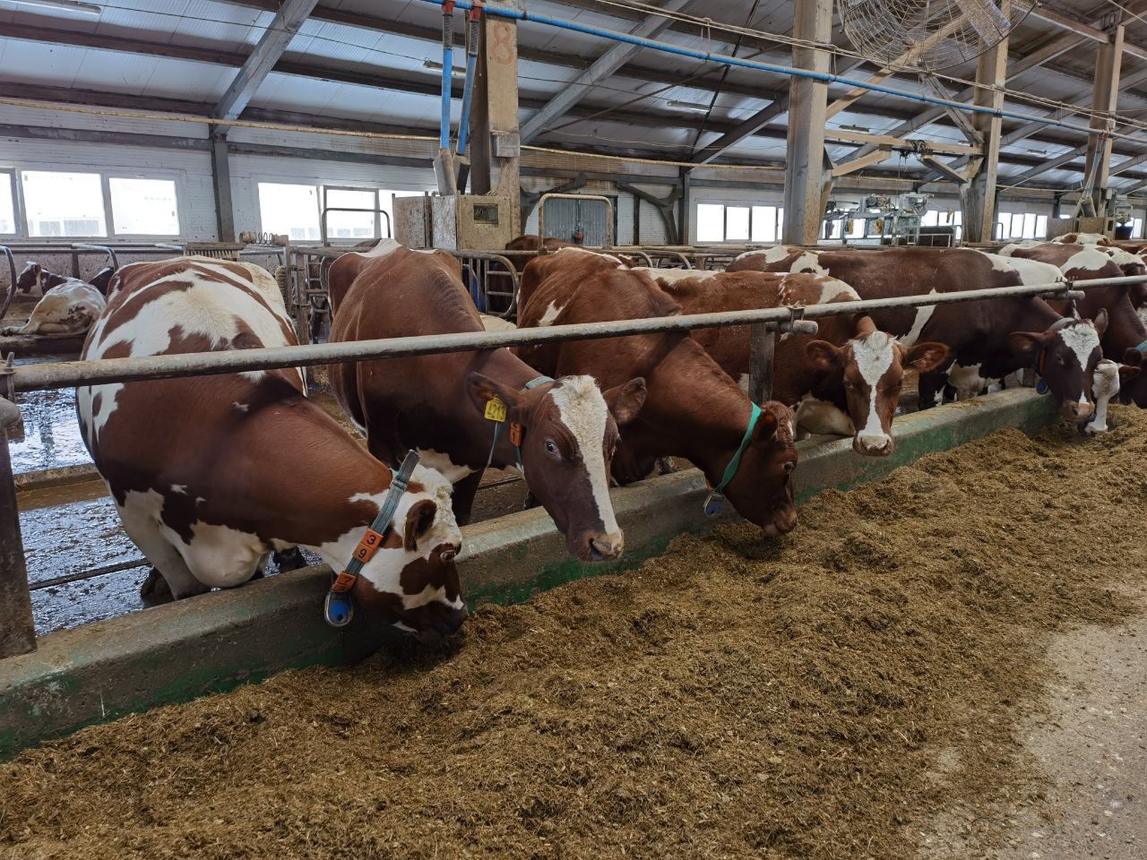 Глава Карелии предложил дополнительно поддержать агропромышленный комплекс республики