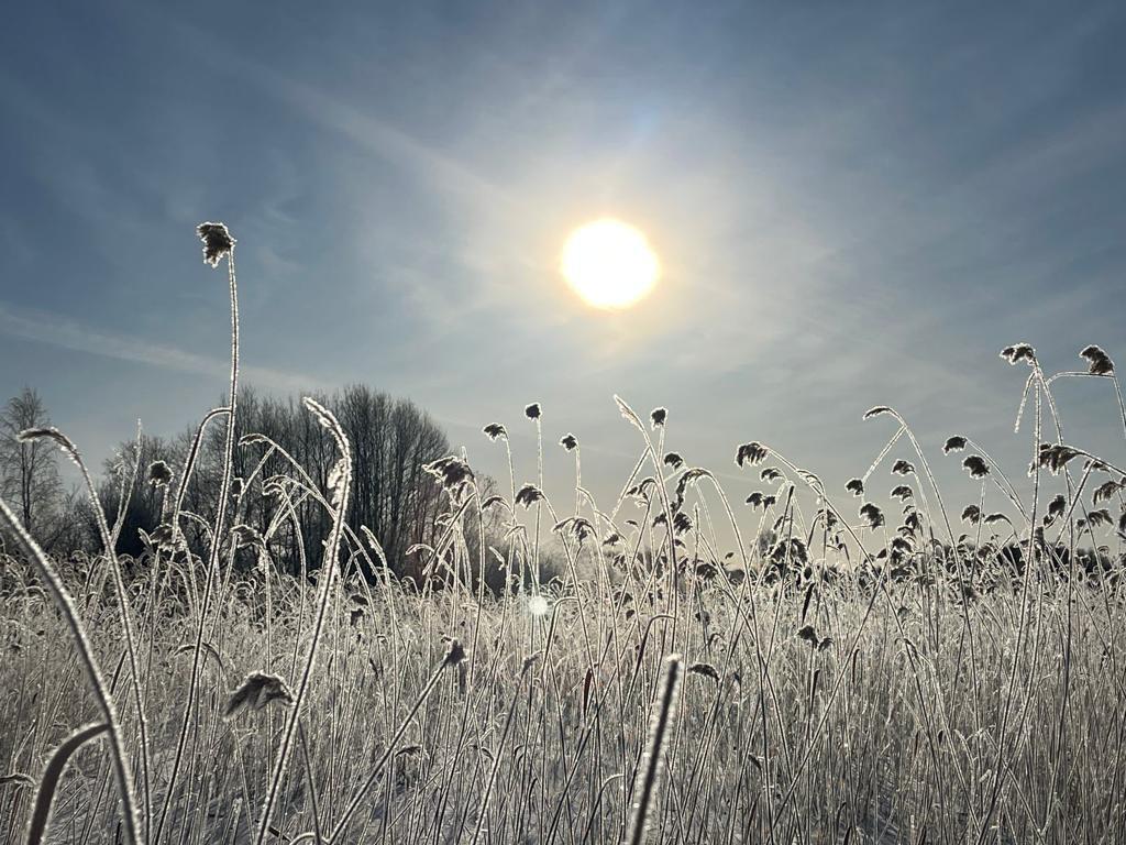 Ночью до минус 13. Прогноз погоды в Карелии на 3 марта