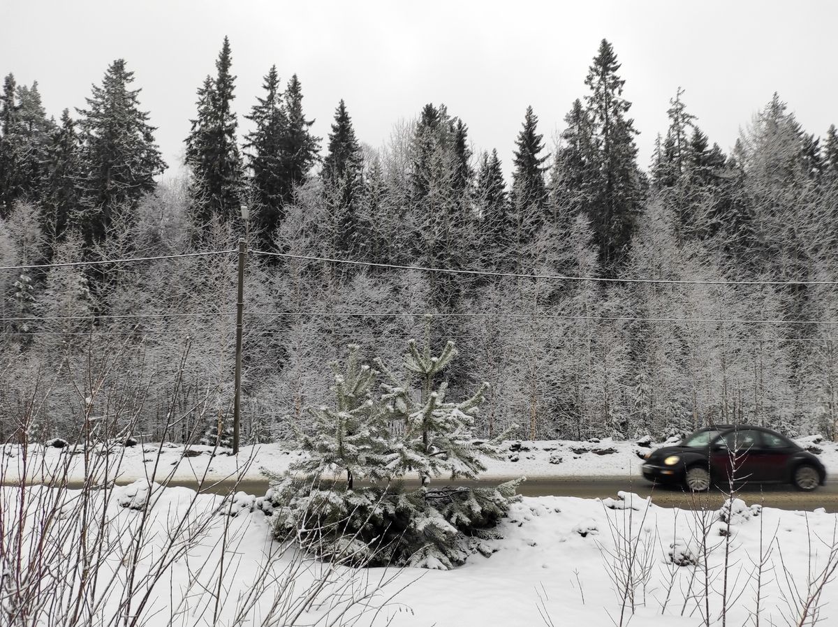 Ночью на севере до -16°С: прогноз погоды на 22 марта