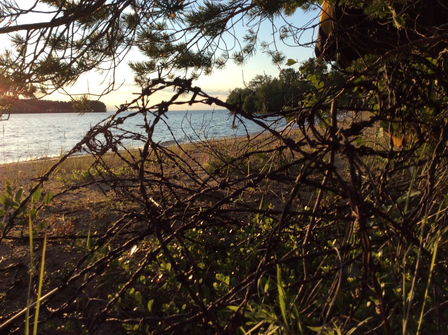 Карельское Заонежье планируют освободить от колючей проволоки, которая осталась со времен финской оккупации