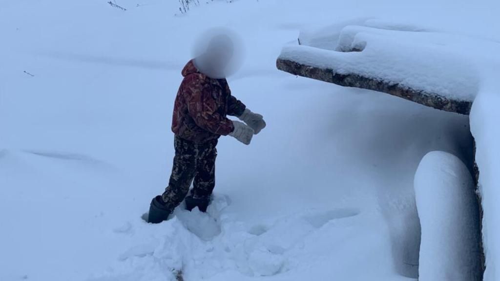 Жителя Карелии, который случайно убил помощника бревном, приговорили к исправительным работам условно