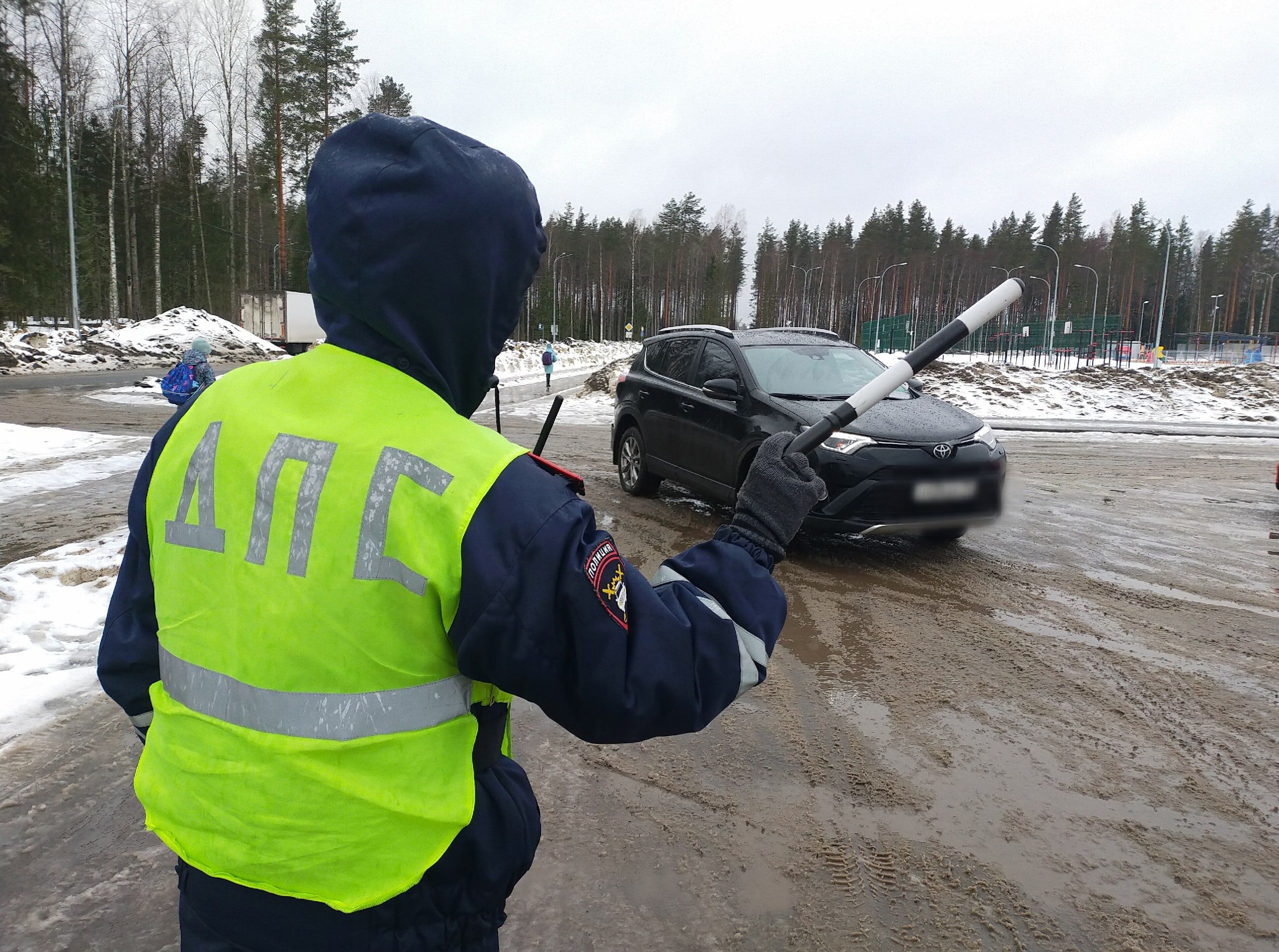 Петрозаводских водителей ждут проверки