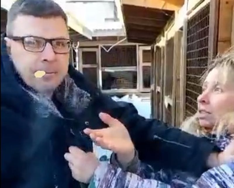 Руководитель Медвежьегорского приюта подрался с зоозащитницей