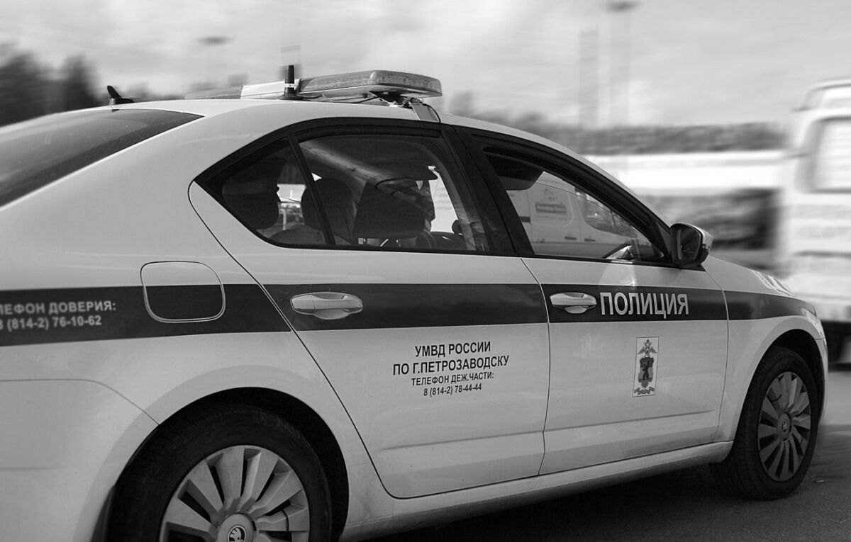 Карельские полицейские раскрыли дело о краже дорогостоящих иномарок