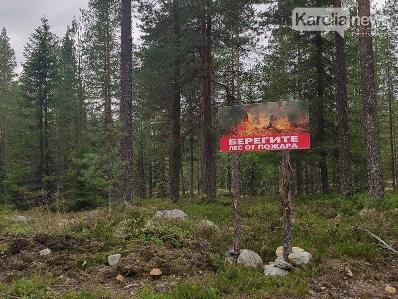 Проверка Рослесхоза признала Карелию не готовой к пожароопасному сезону