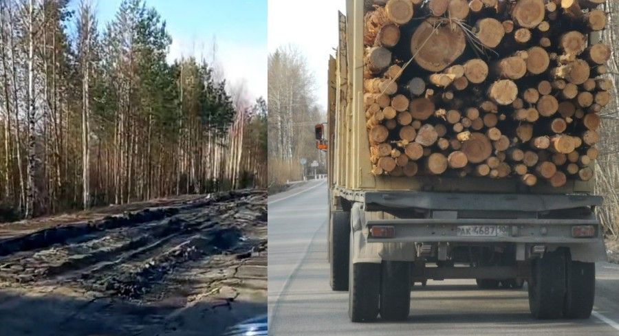 Лесовозы частично разрушили дорогу на Кижи в Карелии