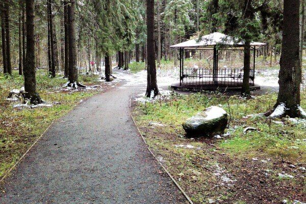 «Беличий парк» лидирует в голосовании за объекты для благоустройства в 2024 году