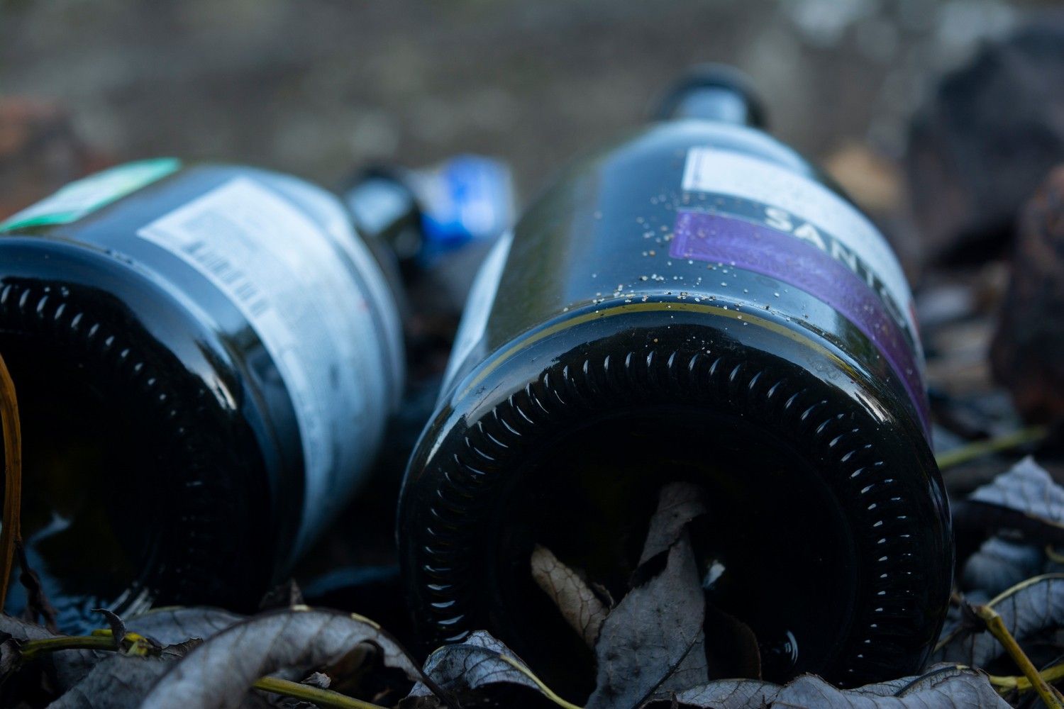 «Моим хобби был алкоголь»: петрозаводчанка рассказала, как научилась радоваться жизни без выпивки