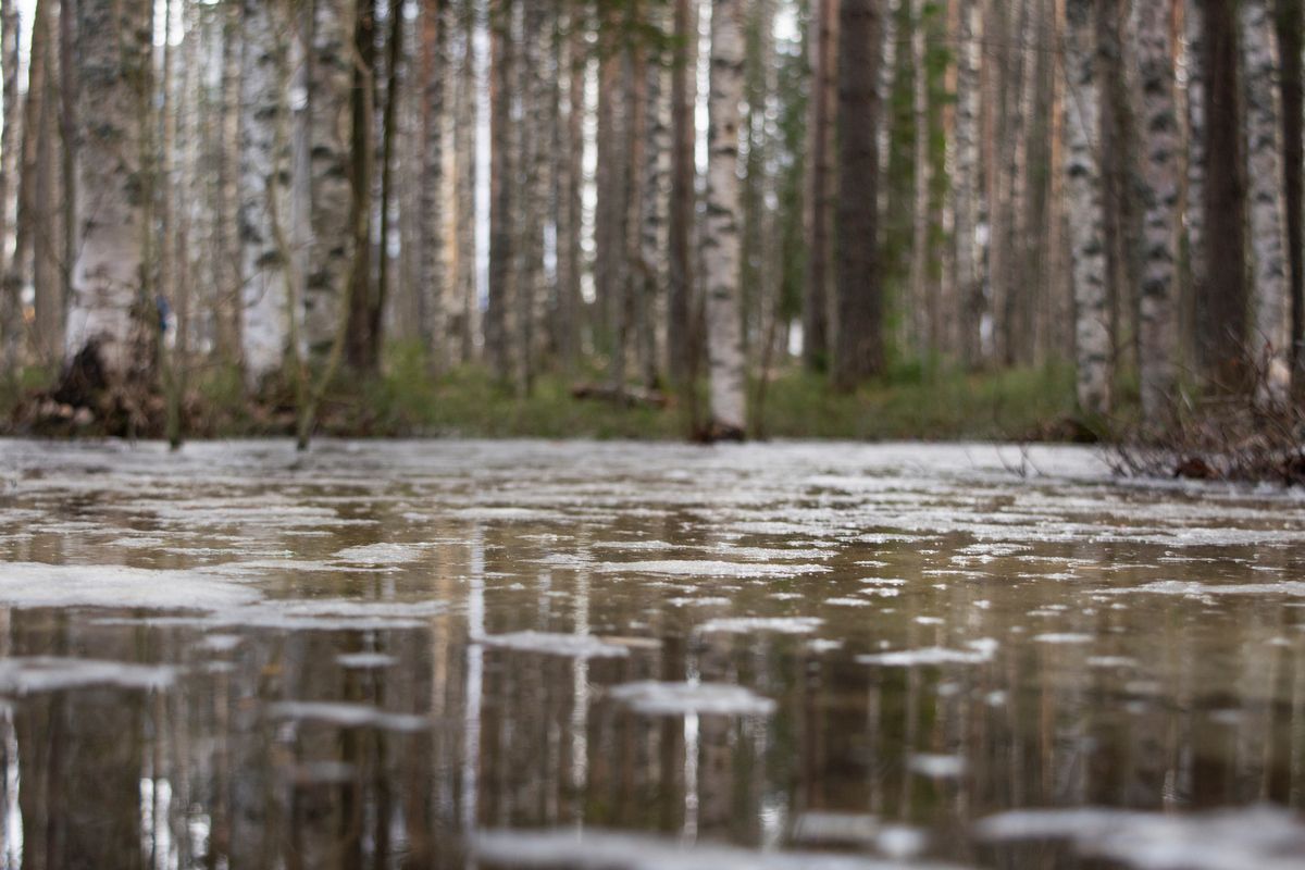 Дождливо и не жарко: прогноз погоды на 1 мая
