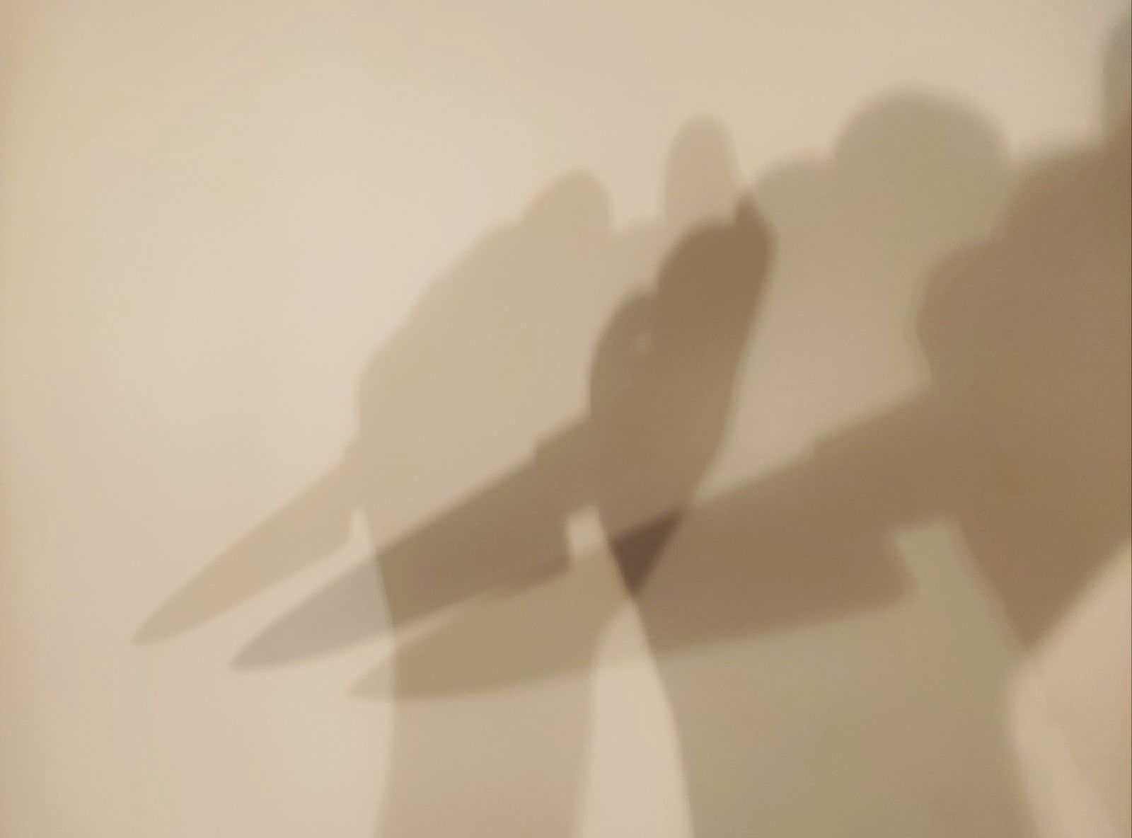 В Медвежьегорском районе убили 26-летнего мужчину