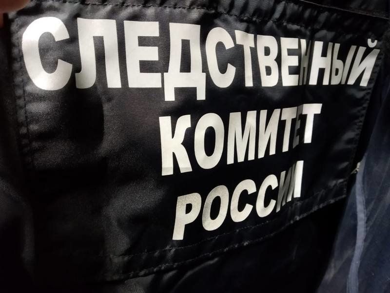 Житель Сегежи схватил полицейского за шею и повалил на землю