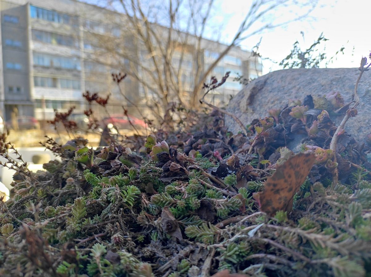 Ночью заморозки, днем оттепель: прогноз погоды на 9 апреля