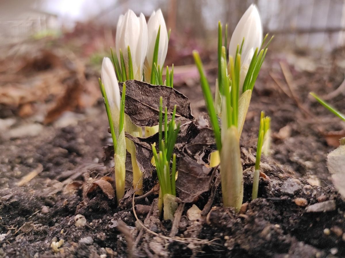 До +14°С: прогноз погоды на 21 апреля