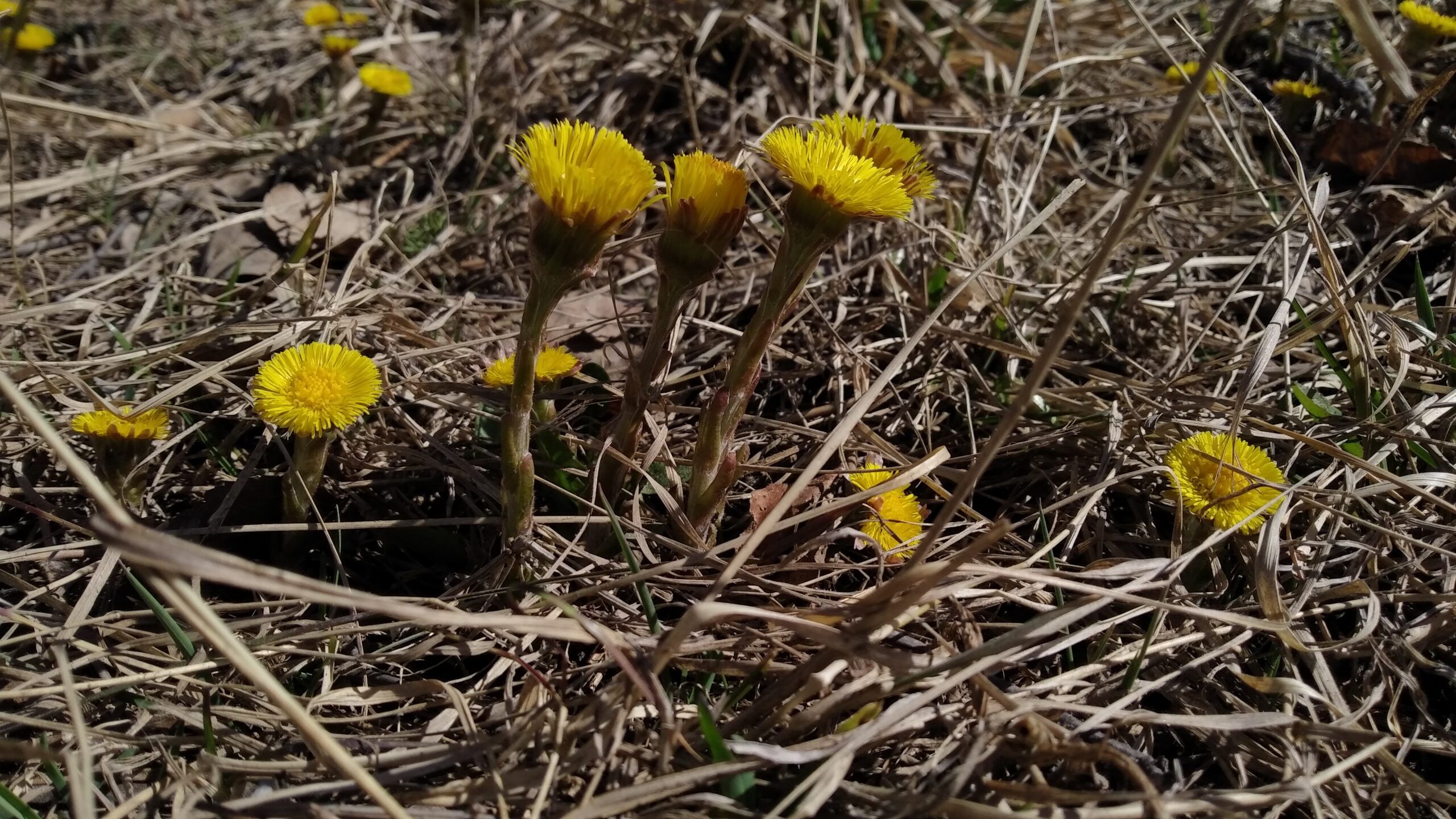 Воздух в Карелии прогреется до +19°С. Прогноз погоды на 24 апреля