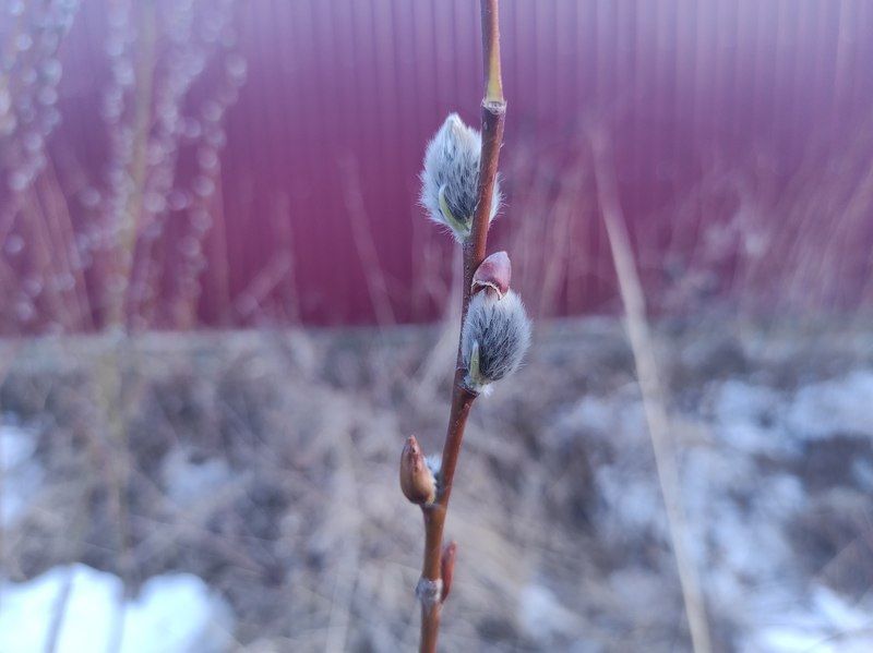 Весеннее солнце днем и зимняя прохлада ночью: прогноз погоды на 10 апреля