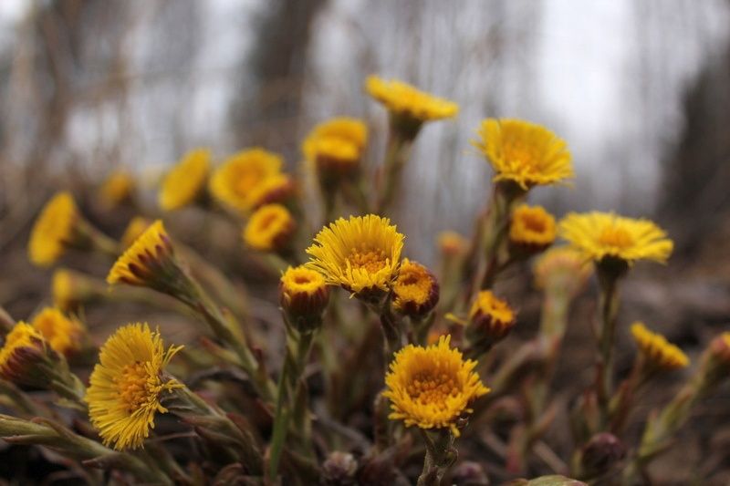 В Петрозаводске побит температурный рекорд
