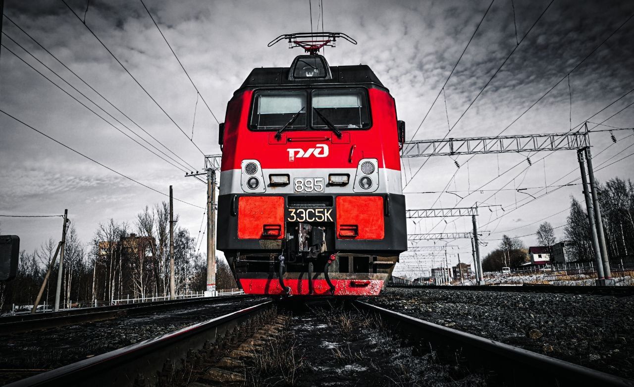 На севере Карелии лось попал под поезд