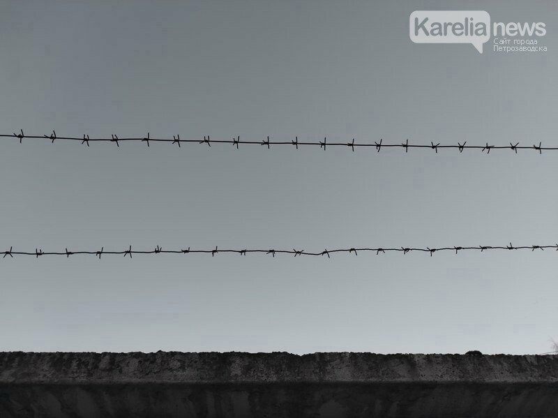 В России ввели пожизненное заключение за госизмену