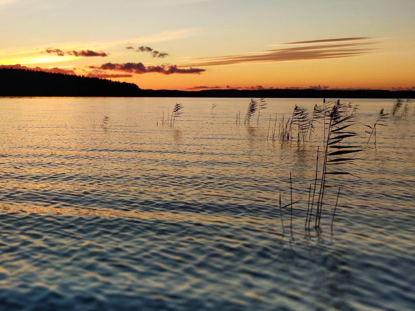 Элиссан Шандалович: парламенты регионов Северо-Запада договорились защищать Онежское и Ладожское озера