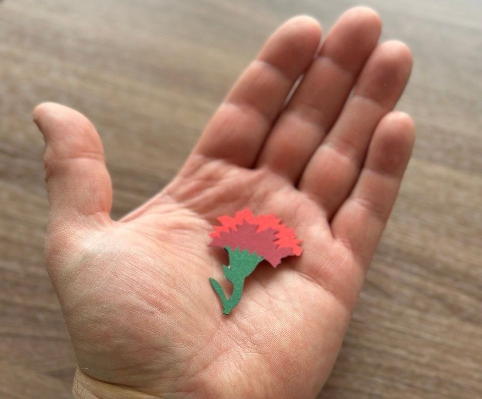 В Карелии началась благотворительная акция «Красная гвоздика»