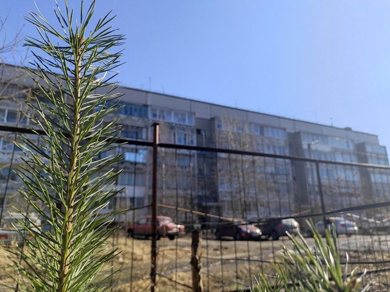 Ночью минус, днем плюс: прогноз погоды на 7 апреля