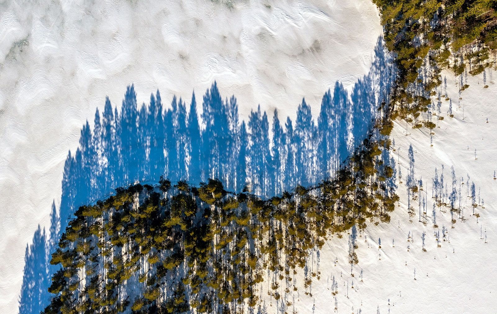 Арктический антициклон принесет в Карелию небольшое похолодание