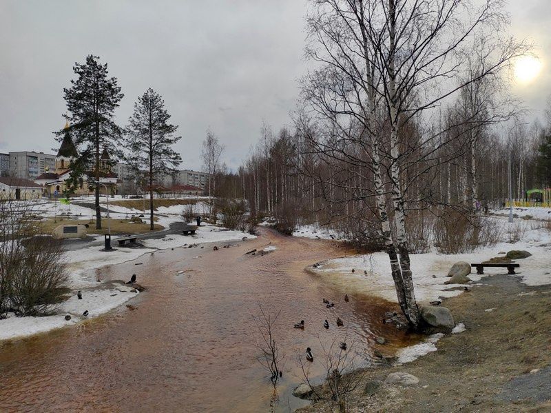 Холода не отступают: прогноз погоды 14 апреля