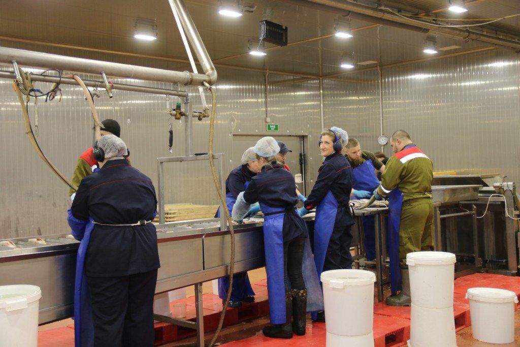 Цеха для инкубации икры и выращивания малька начнут работу в Карелии