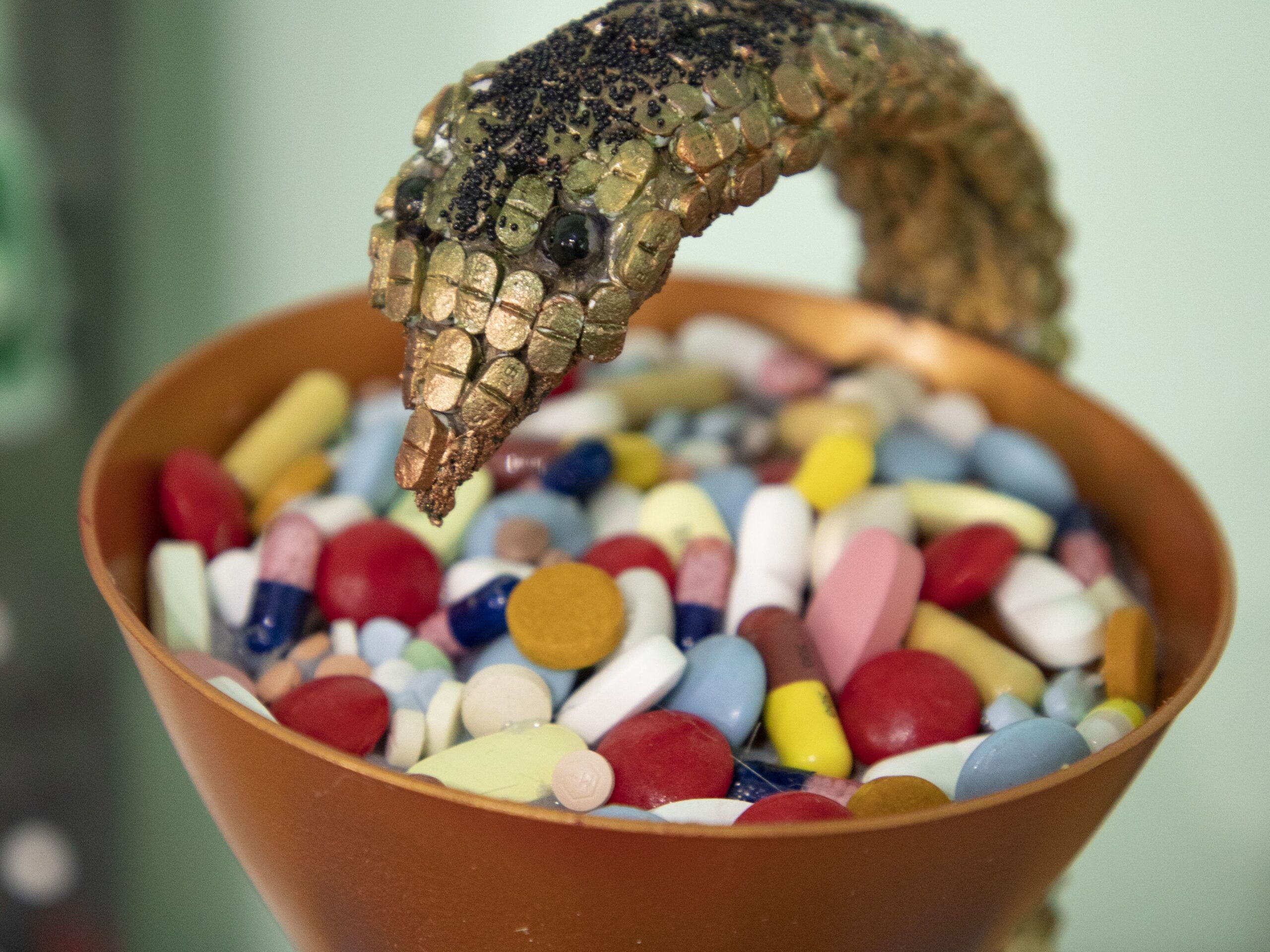 К проблеме утилизации лекарств в ПетрГУ подошли творчески