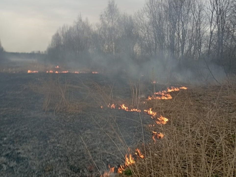 Спасатели трижды тушили сухую траву в Прионежье