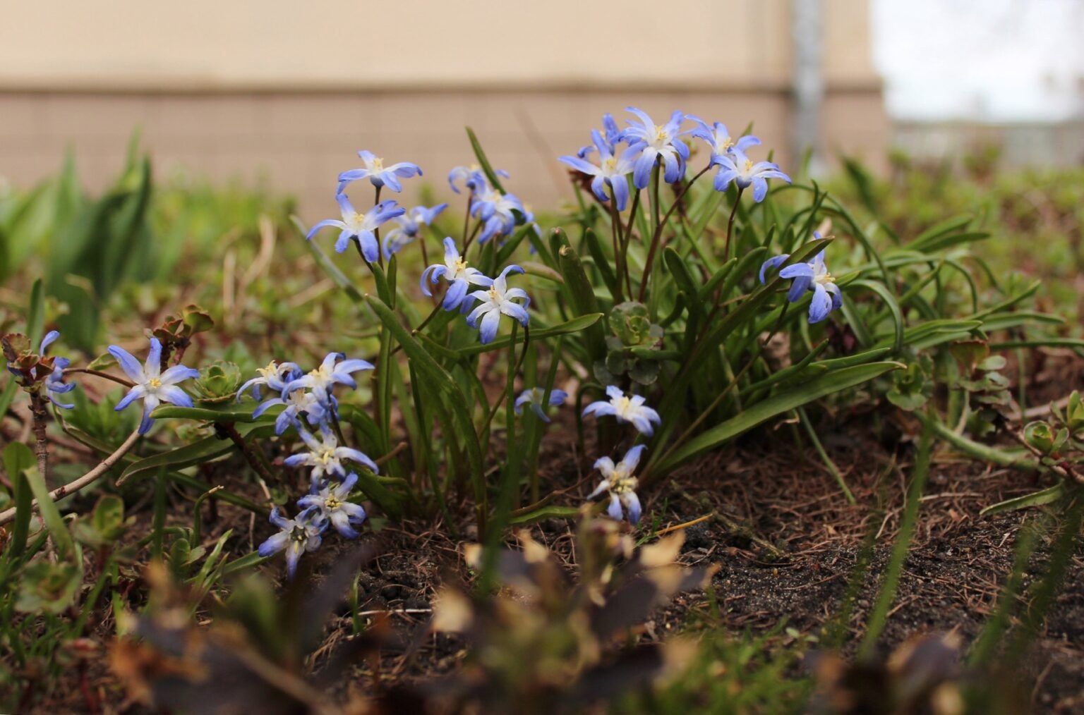 Нововведения в школьном питании и доставке пенсии: что изменится в жизни россиян в мае